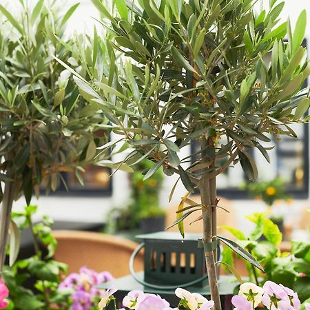 Hotell Baeckagarden イースタッド エクステリア 写真